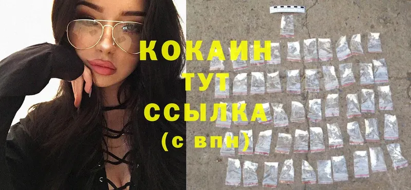 закладки  Выборг  Cocaine FishScale 